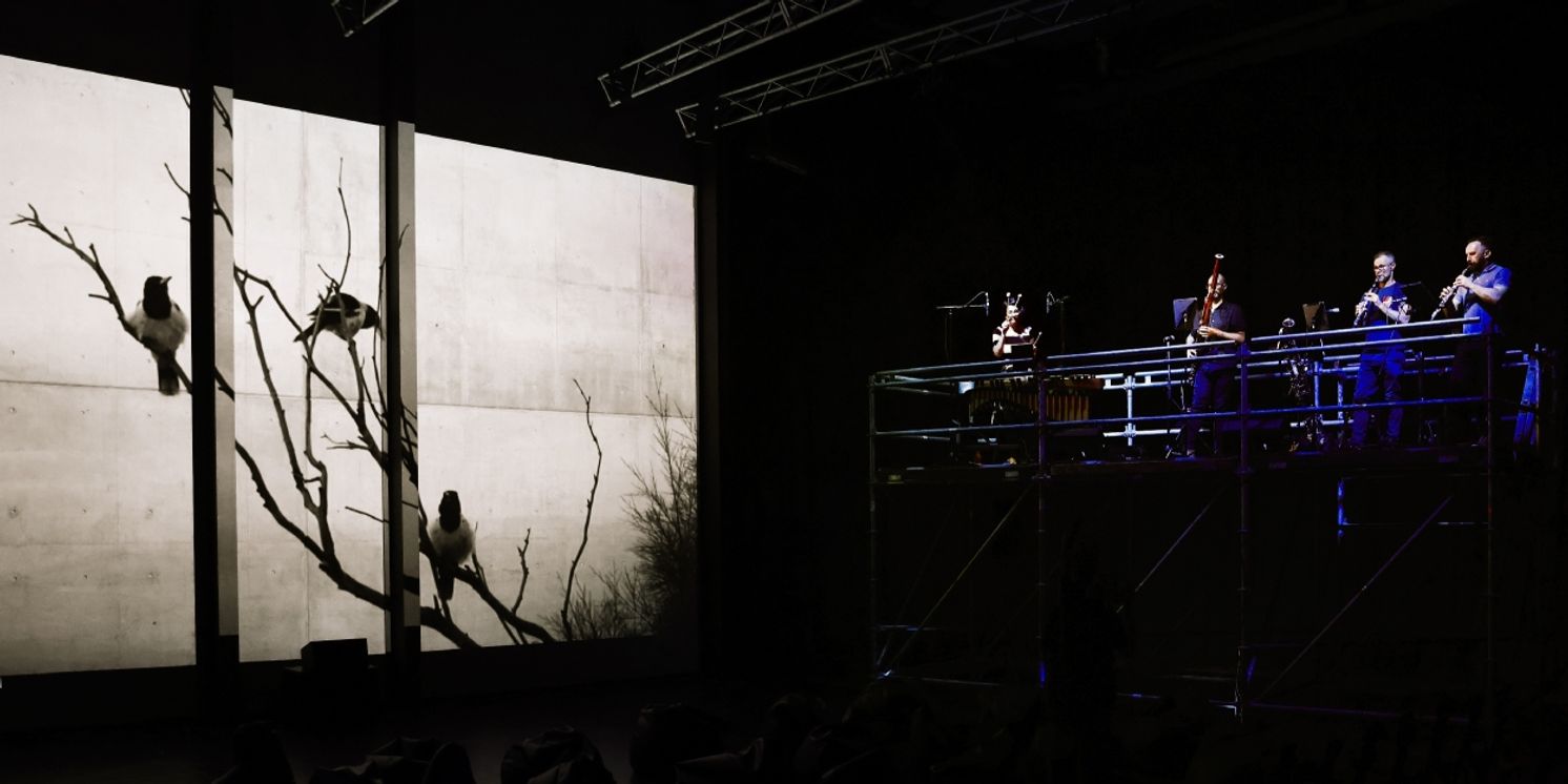 Review: ENSEMBLE OFFSPRING: NIGHT SONGS - ADELAIDE FESTIVAL 2024 at Space Theatre, Adelaide Festival Centre  Image