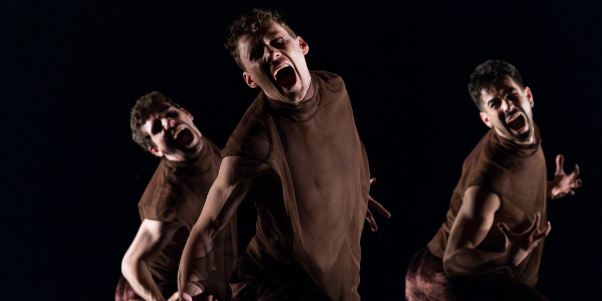 Review: Gibney Company Lets Art be Art