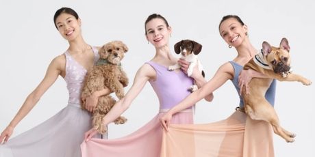 Review: GRACE TO THE RESCUE Was a Night Celebrating Love, Animals, and Dance Photo