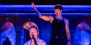 Review: HAMLET at Oak Park Festival Theatre, Oak Park IL