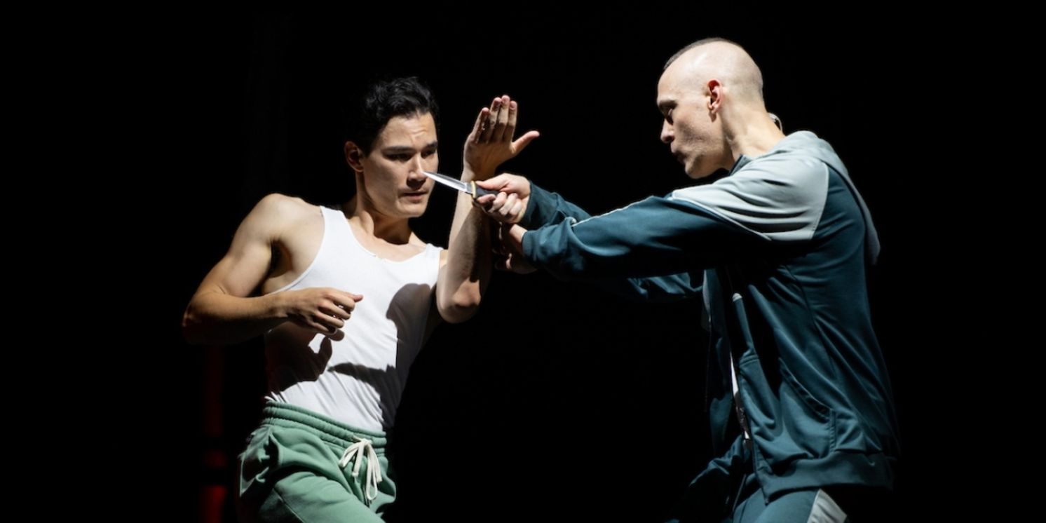 Review: HAPPY FALL: A QUEER STUNT SPECTACULAR an Exhilarating, Sensuous Performance  Image