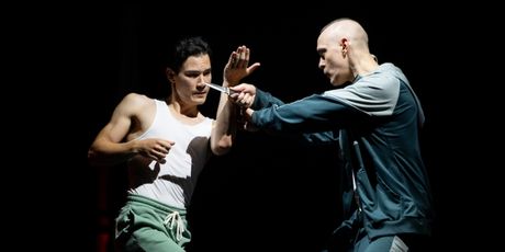 Review: HAPPY FALL: A QUEER STUNT SPECTACULAR an Exhilarating, Sensuous Performance Photo