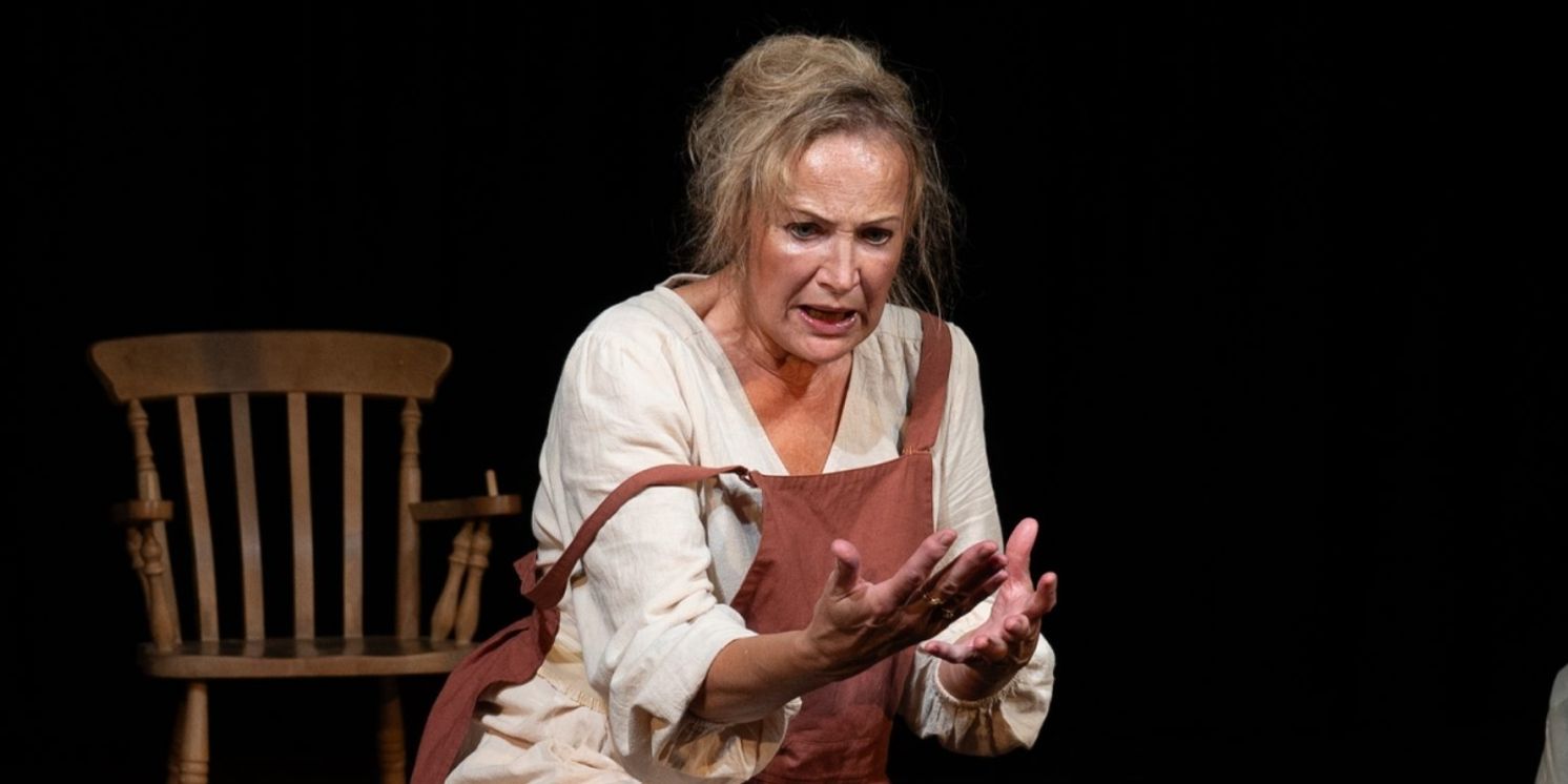 Review: HAVISHAM, Jack Studio  Image