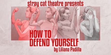 Review: HOW TO DEFEND YOURSELF at Stray Cat Theatre Photo