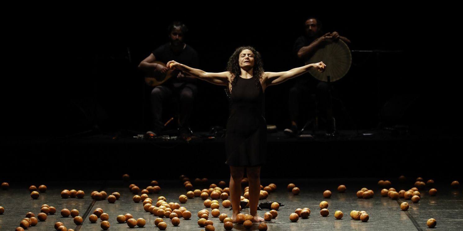 Review: I M E D E A, Stone Nest  Image