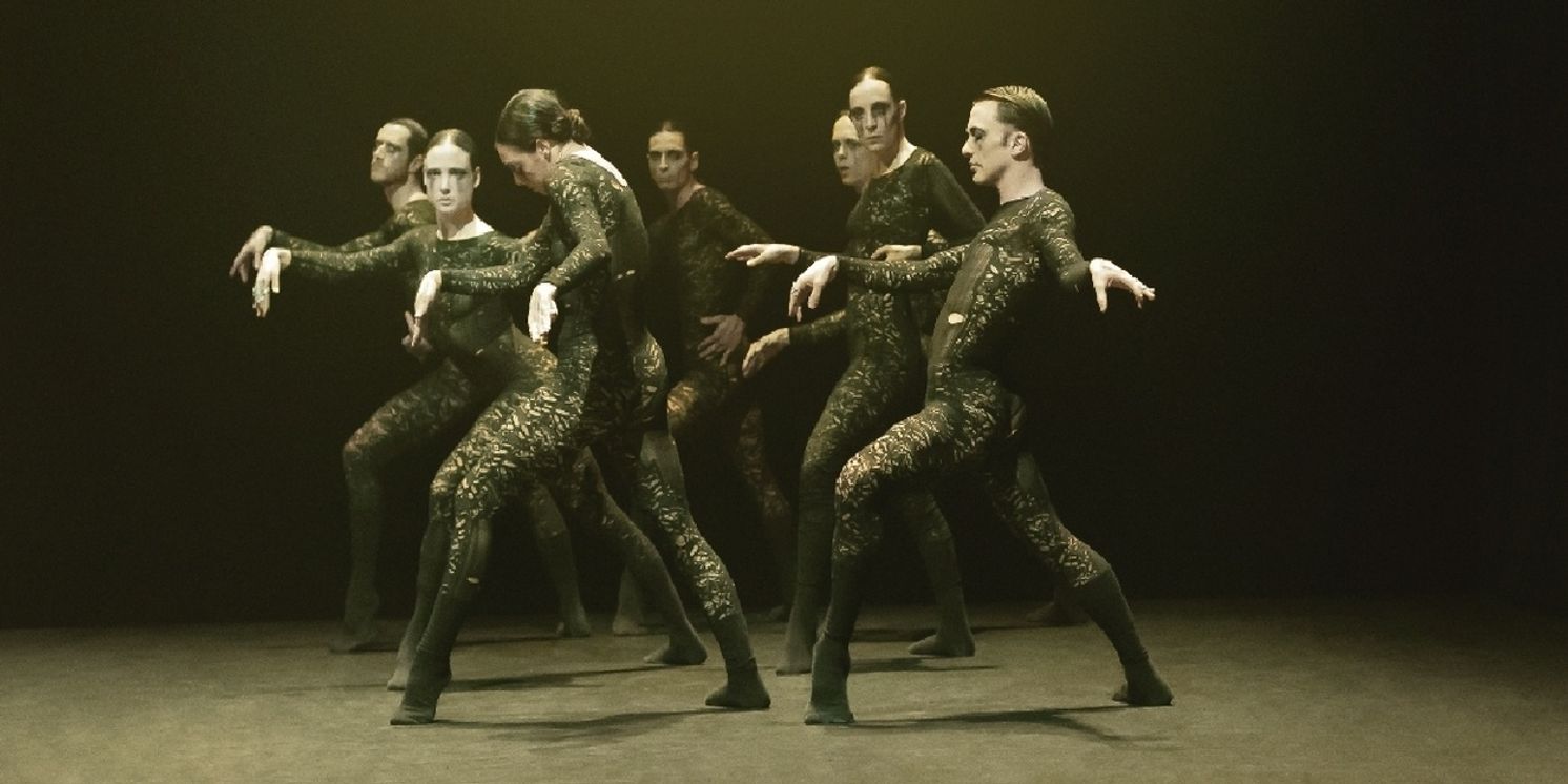 Review: INTO THE HAIRY - SHARON EYAL, Sadler’s Wells  Image