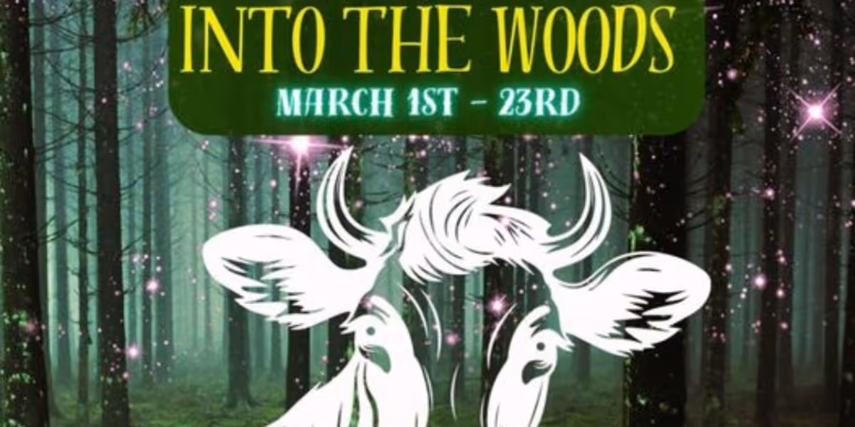 Review: INTO THE WOODS at Musical Theatre Southwest