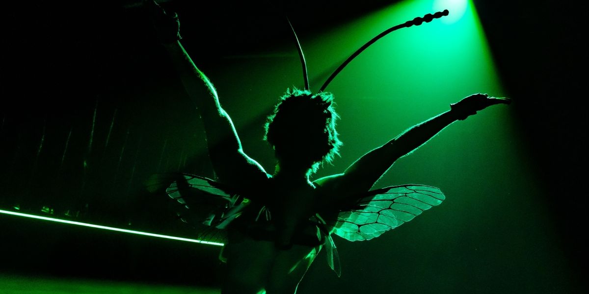 Review: INVASIVE SPECIES, King's Head Theatre
