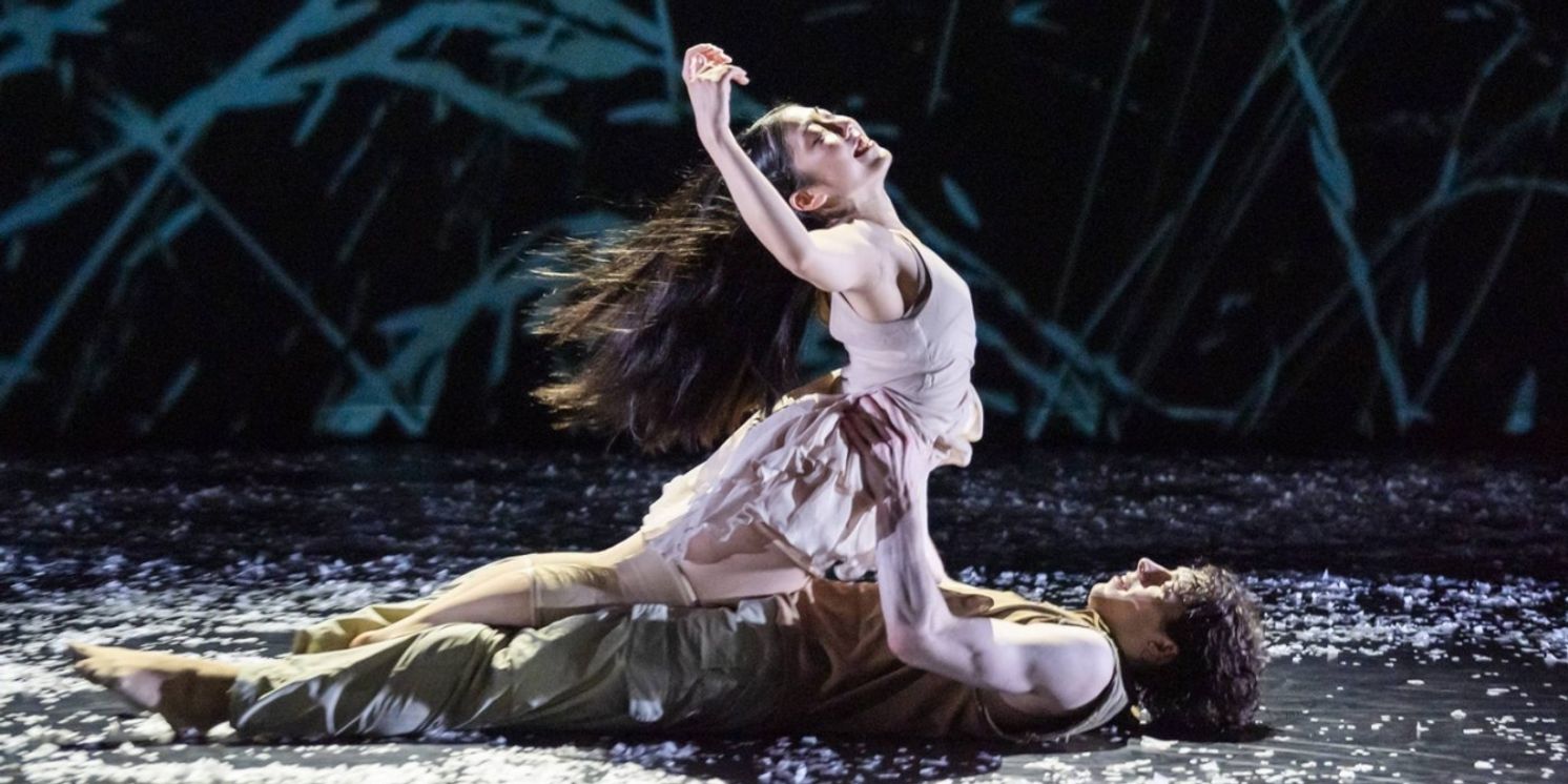 Review: JASMIN VARDIMON: NOW, Sadler's Wells East  Image