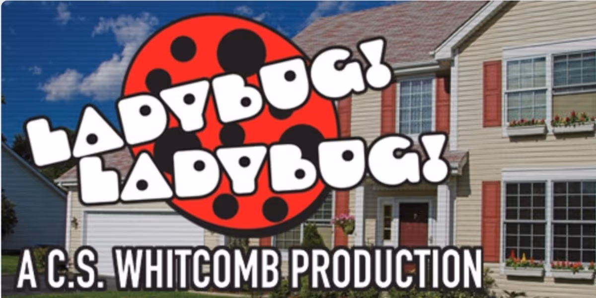 Review: LADYBUG! LADYBUG! at Lakewood Theatre