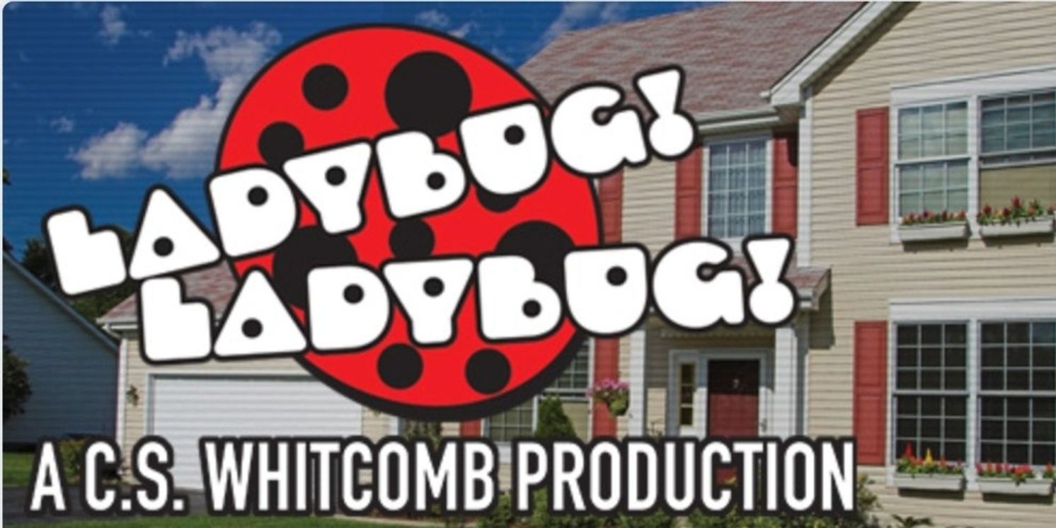 Review: LADYBUG! LADYBUG! at Lakewood Theatre  Image