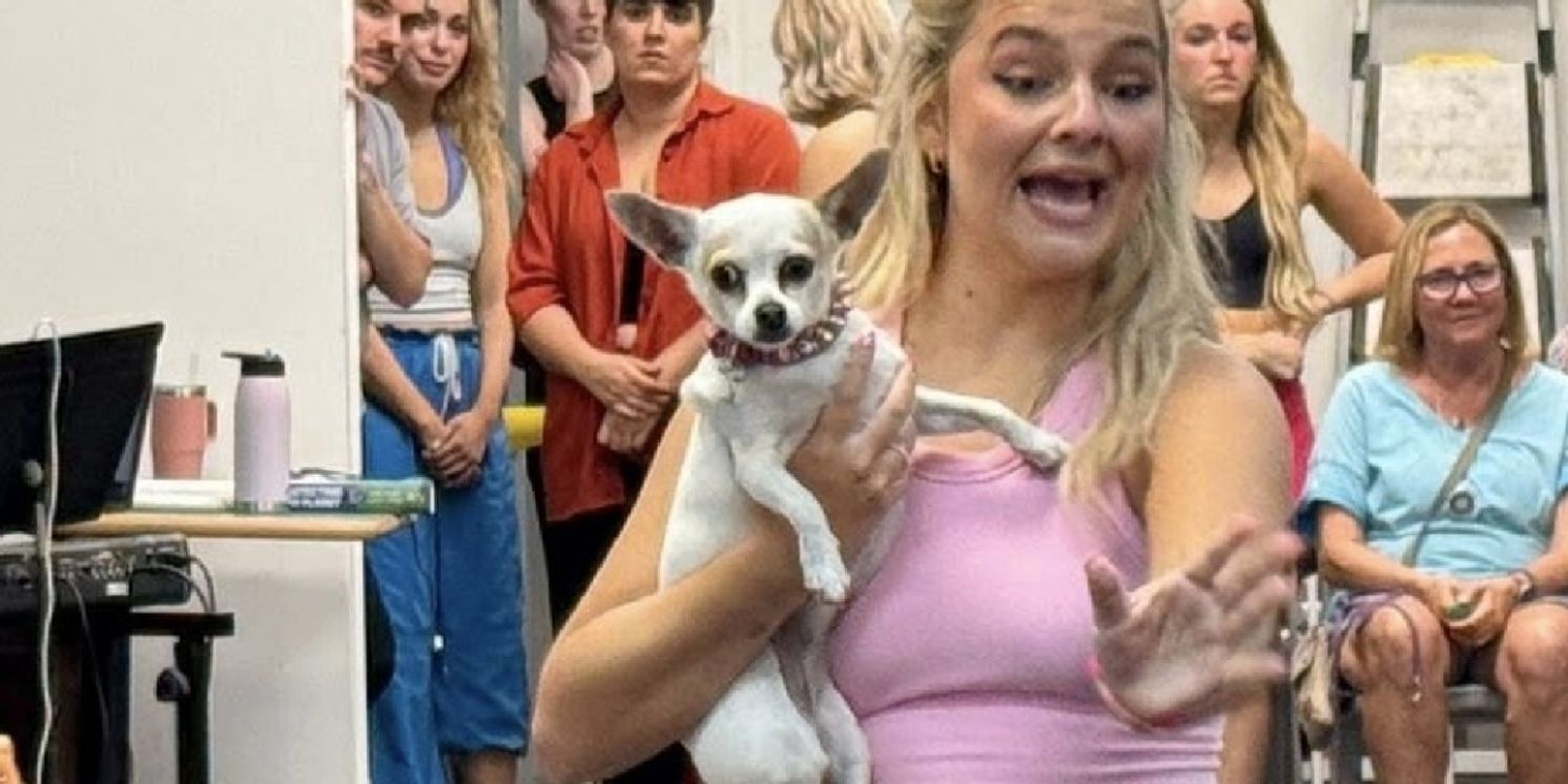 Review: LEGALLY BLONDE: THE MUSICAL at Broadway Palm  Image