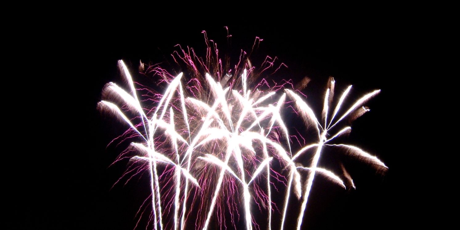 Let's Celebrate This Talented Treasure Who Was Born in November  Image