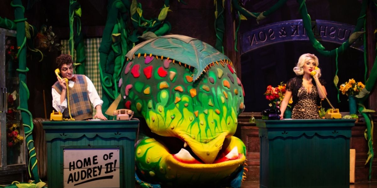Review: LITTLE SHOP OF HORRORS at Bank Of America Performing Arts Center