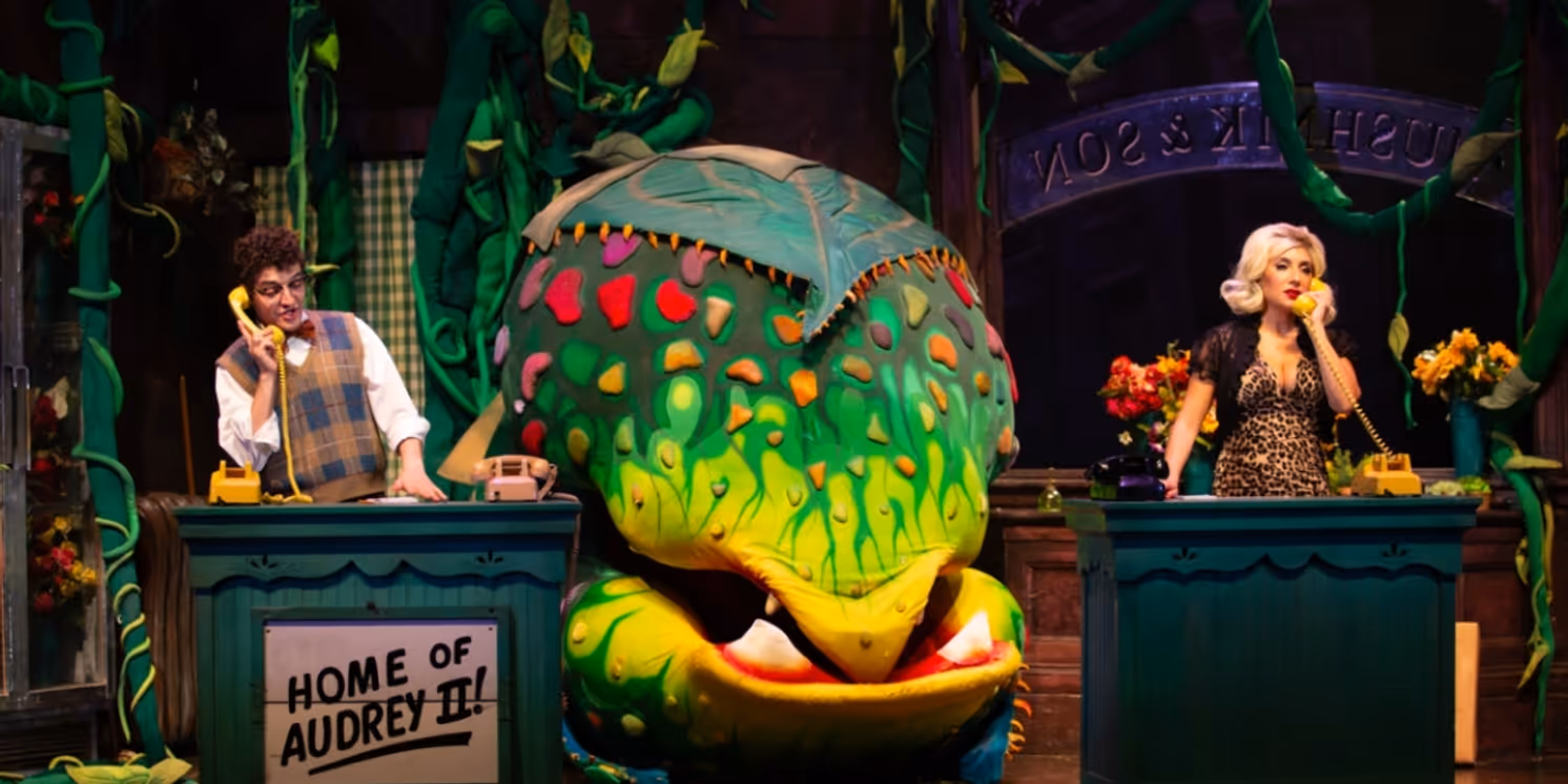 Review: LITTLE SHOP OF HORRORS at Bank Of America Performing Arts Center  Image