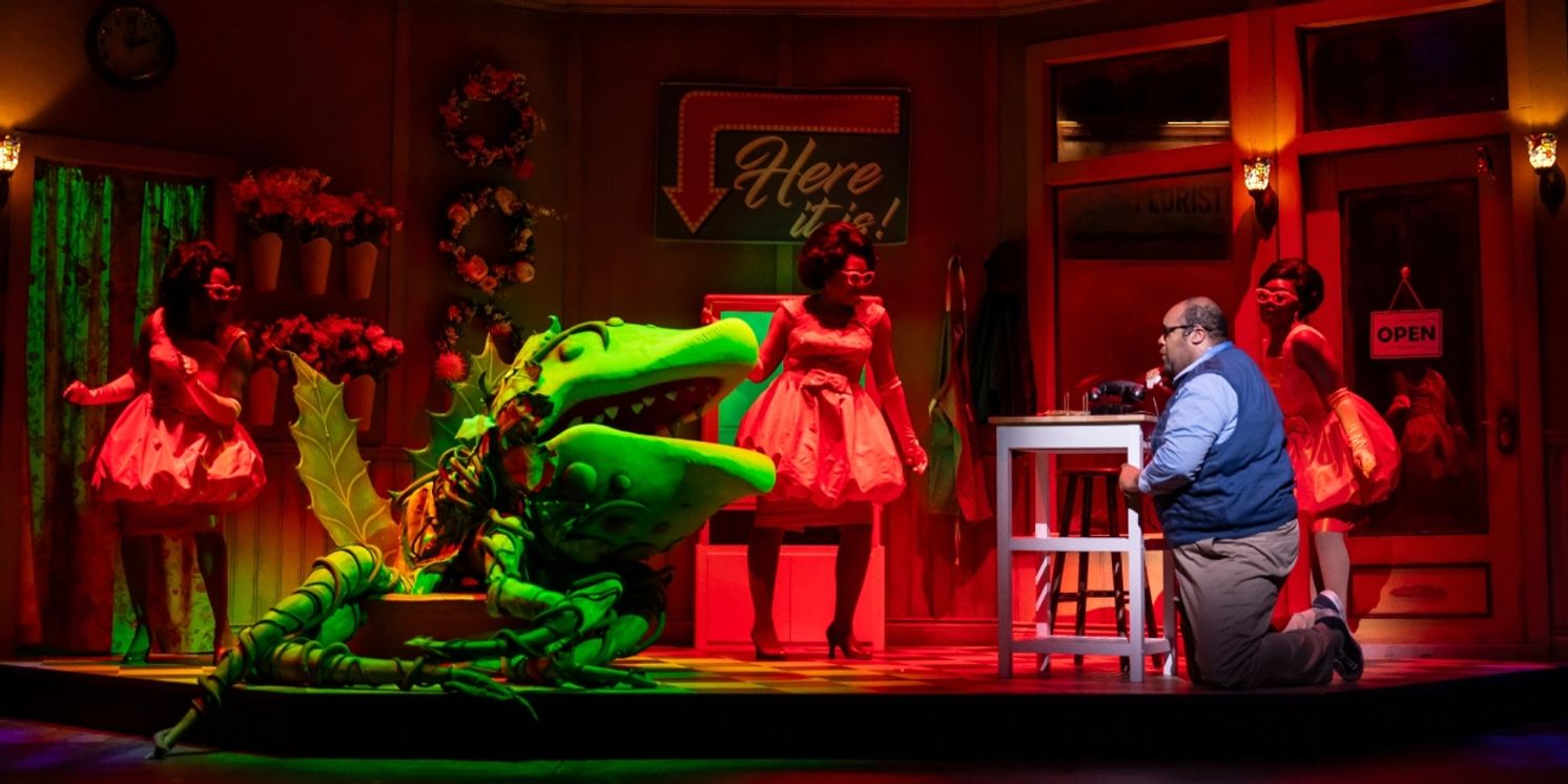 Review: LITTLE SHOP OF HORRORS at Ford's Theatre  Image