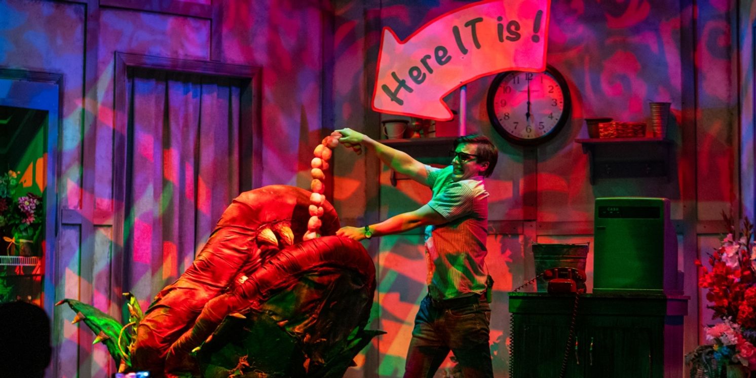 Review: LITTLE SHOP OF HORRORS at Garden Theatre  Image
