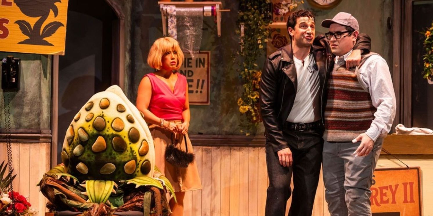 Review: Greater Boston Stage Company's LITTLE SHOP of Delights  Image