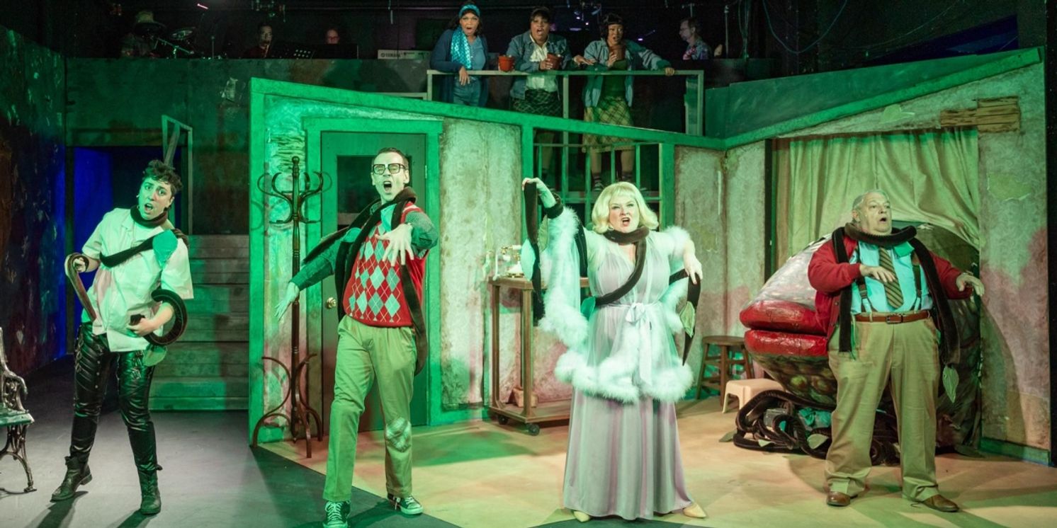 Review: LITTLE SHOP OF HORRORS at Lewisville Playhouse  Image