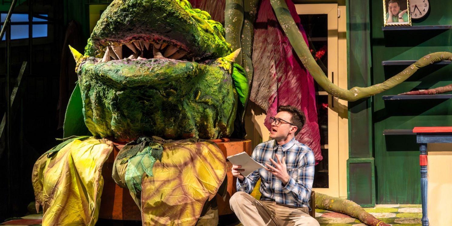 Review: LITTLE SHOP OF HORRORS at North Shore Center For The Performing Arts, Skokie, IL  Image