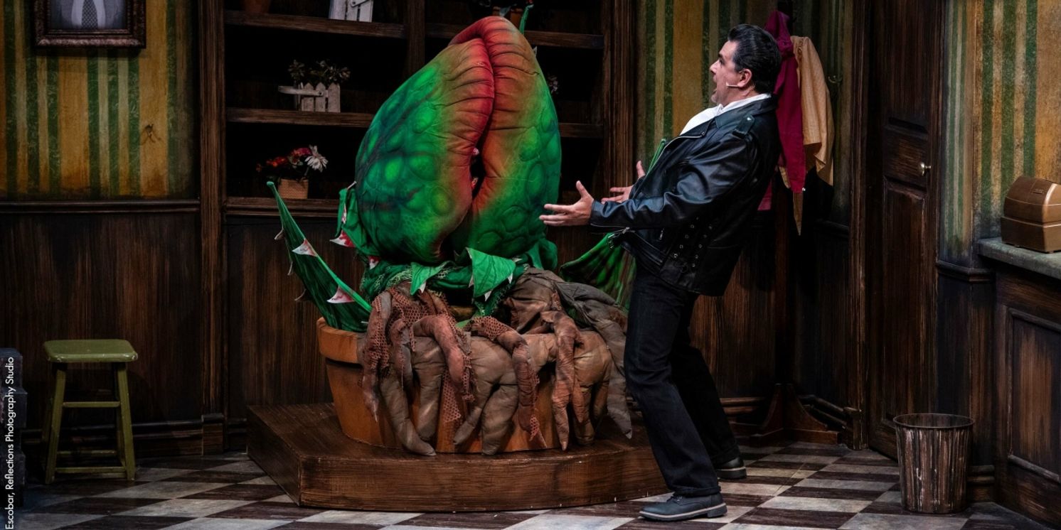 Review: LITTLE SHOP OF HORRORS at PCPA: Solvang Festival Theater  Image