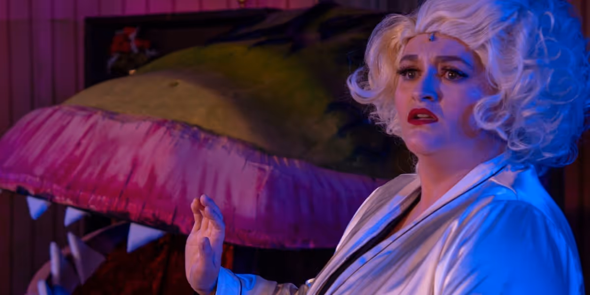 Review: LITTLE SHOP OF HORRORS at Red Curtain Theatre