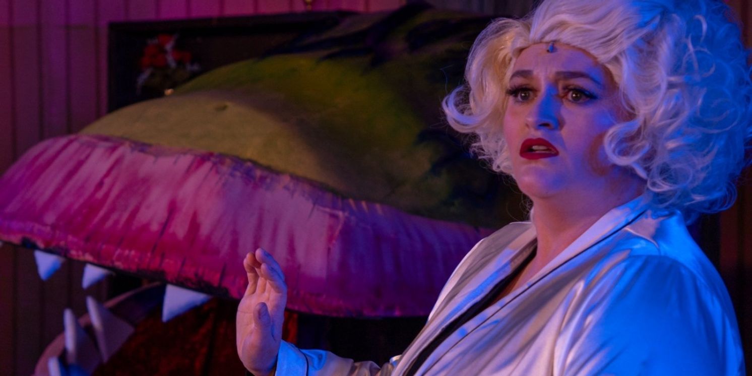 Review: LITTLE SHOP OF HORRORS at Red Curtain Theatre  Image