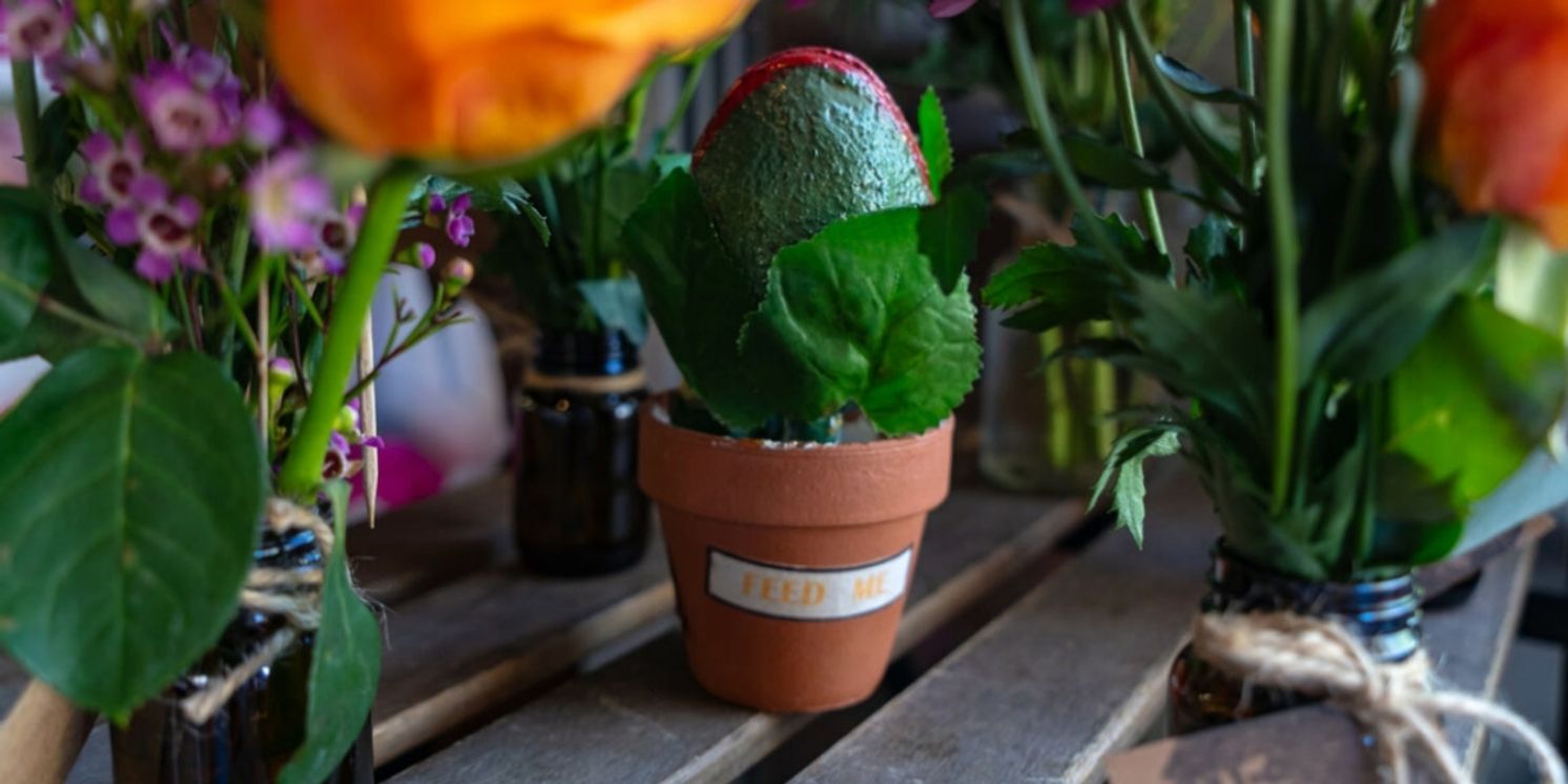 Review: LITTLE SHOP OF HORRORS at Star Theatres  Image