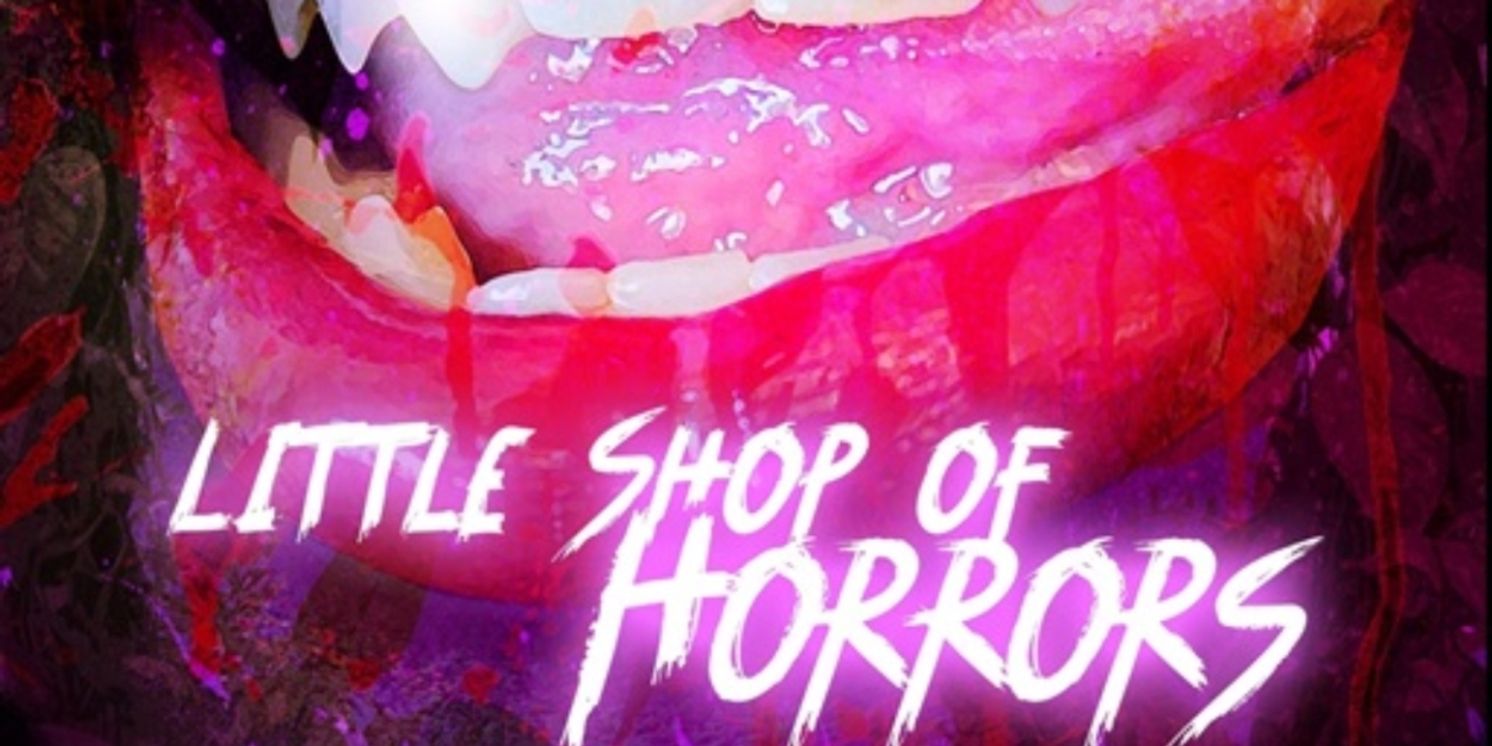 Review: LITTLE SHOP OF HORRORS at Stray Cat Theatre  Image
