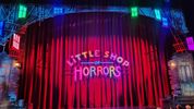 Theatre Calgary’s LITTLE SHOP OF HORRORS is a show you want to Seymour of! Photo