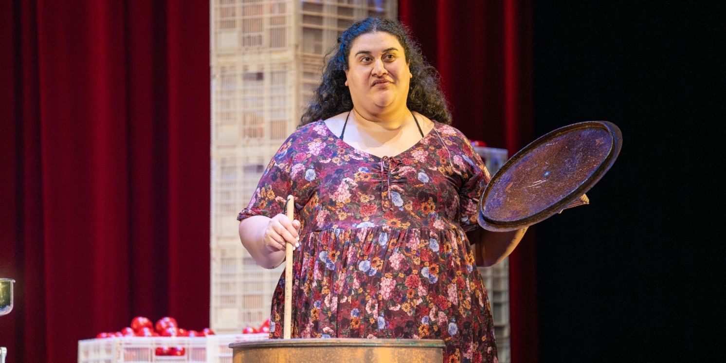 Review: LOOKING FOR ALIBRANDI at Dunstan Playhouse, Adelaide Festival Centre  Image