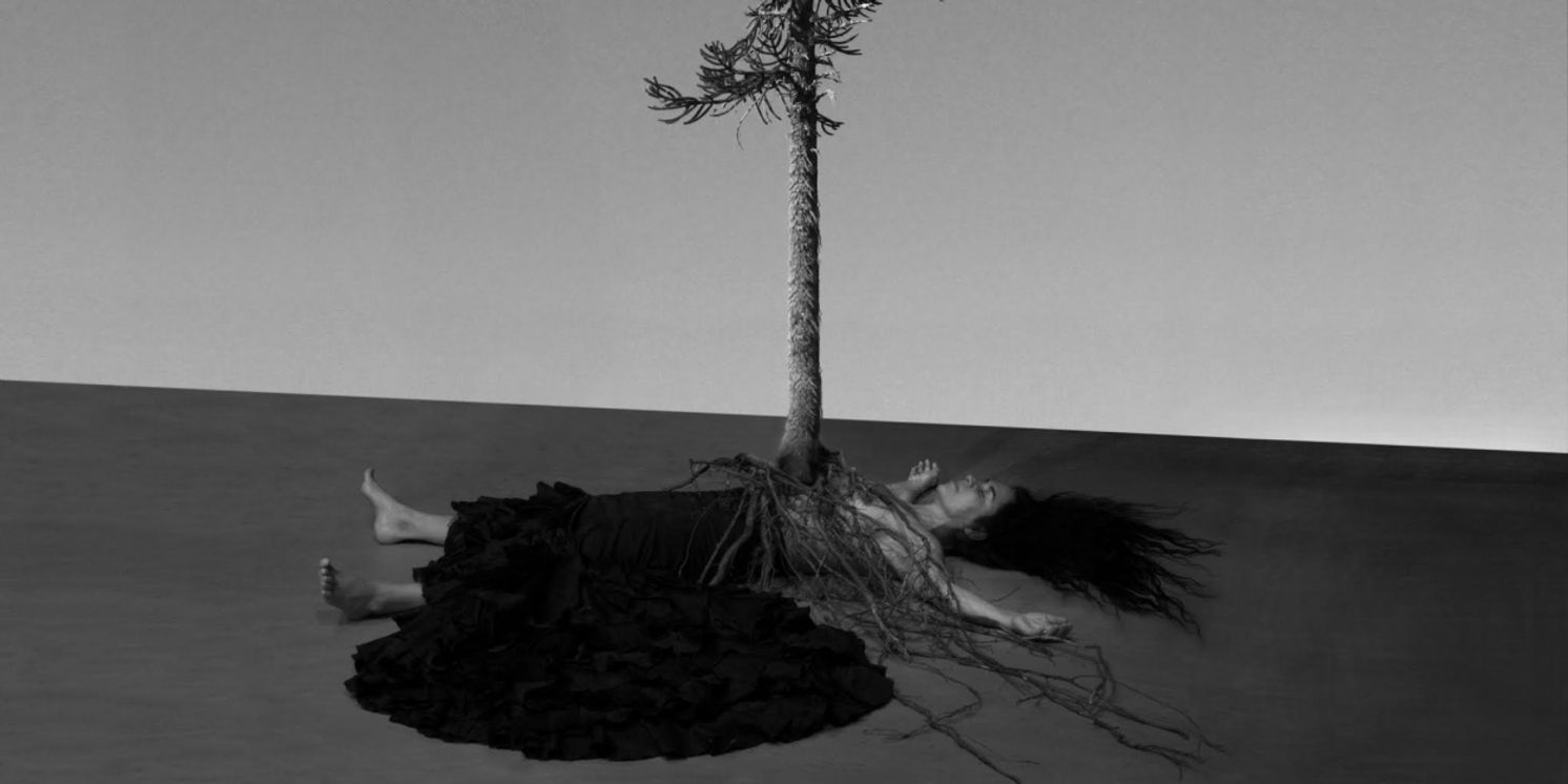 Review: LOVE TO DEATH at Grand Théâtre  Image