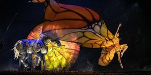 Review: Cirque du Soleil’s LUZIA Dazzles Ottawa With a Waking Dream of Mexico