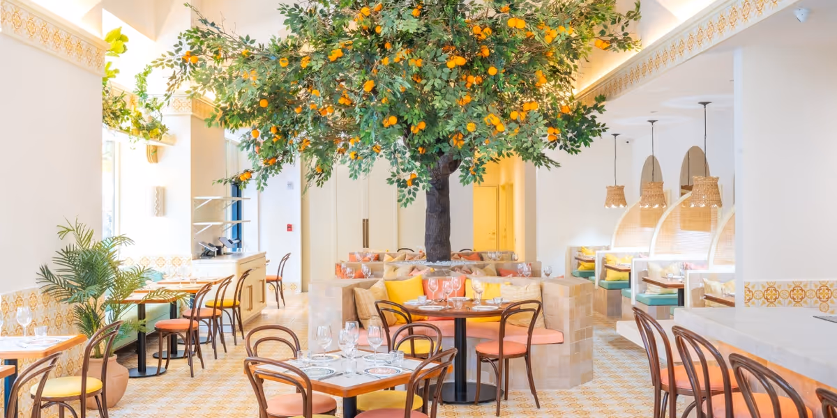 Review:  MAMA MEZZE Brings the Finest Eastern Mediterranean Cuisine to NoMad