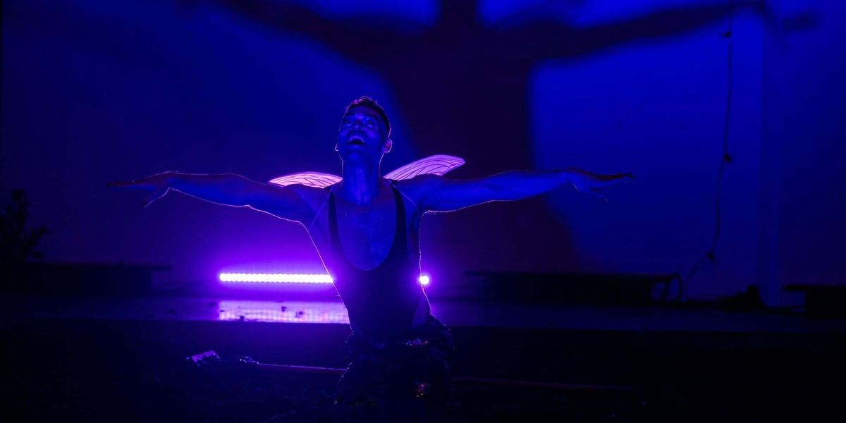 Review: MIDSUMMER NIGHT'S DREAM at MODERN REP