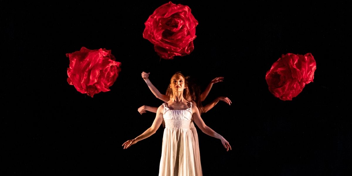 Review: MOMIX's ALICE at Ottawa's National Arts Centre