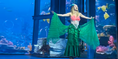 Review: MSMT'S THE LITTLE MERMAID: A Timeless Tale of Love & Redemption Photo