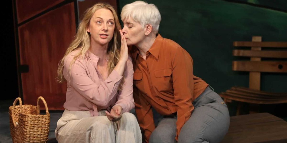 Review: MUCH ADO ABOUT NOTHING at Big Idea Theatre