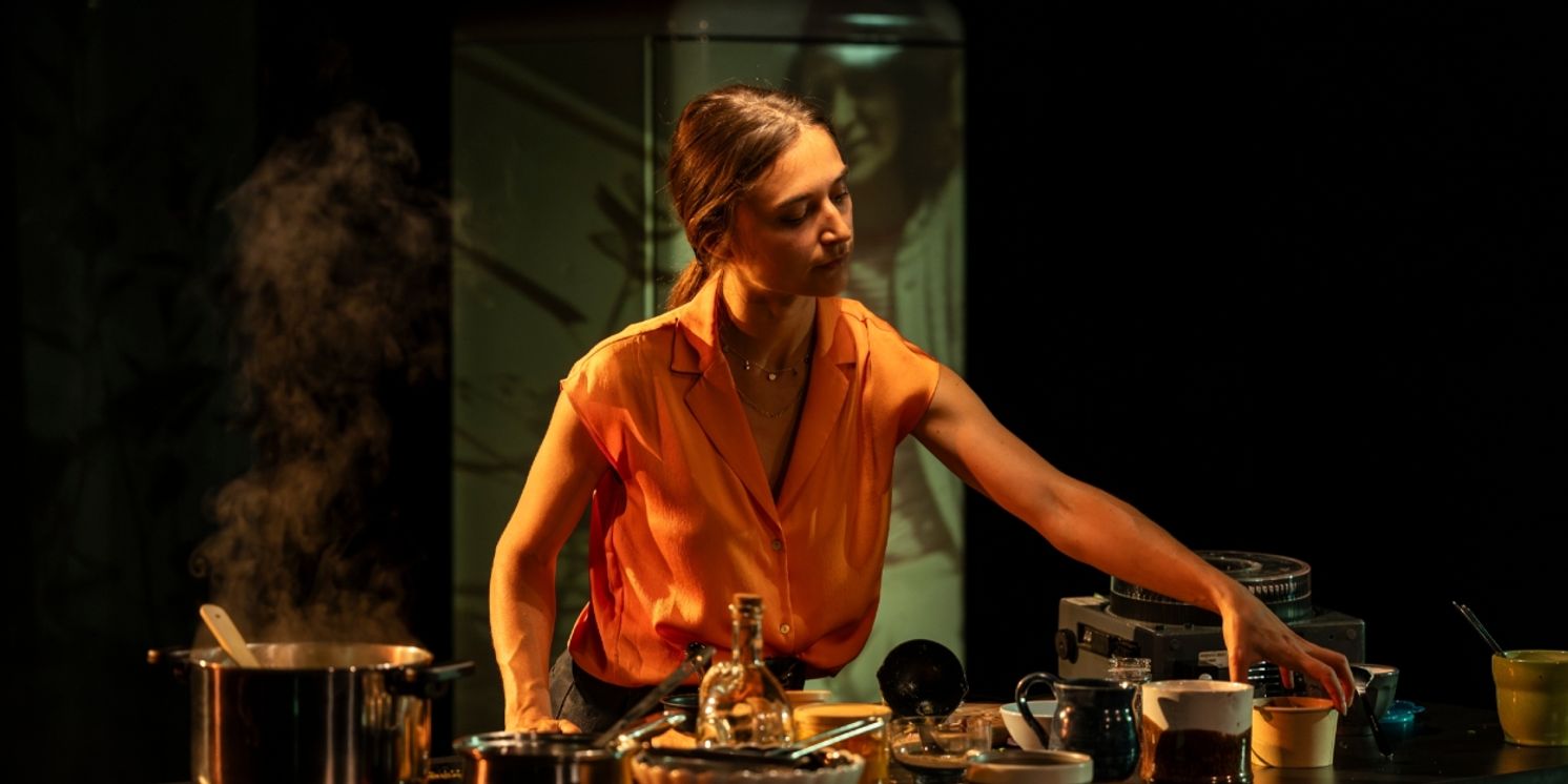 Review: MY ENGLISH PERSIAN KITCHEN, Soho Theatre  Image