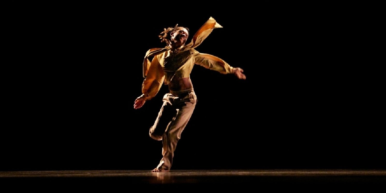 Review: NATIONAL YOUTH DANCE COMPANY: WALL - OONA DOHERTY, Sadler's Wells  Image