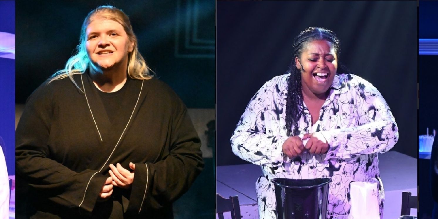 Review: NEXT TO NORMAL at CAP Merrick  Image