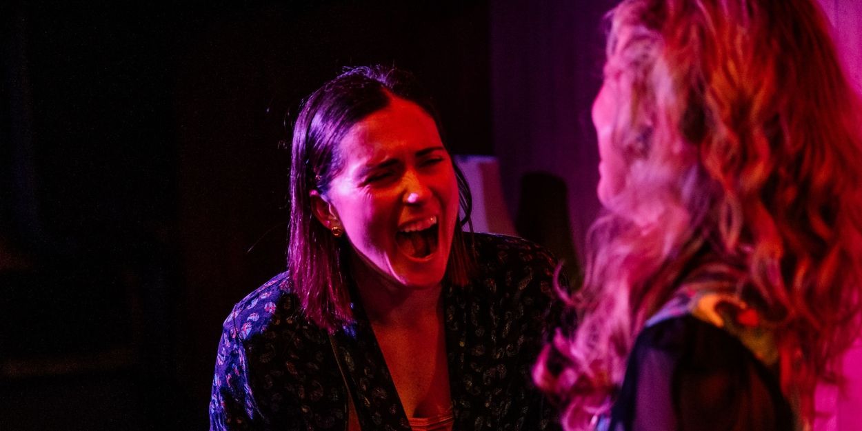 Review: NICE GIRL at Rogue Machine at The Matrix Theatre  Image