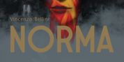 Review: NORMA at Irish National Opera Photo