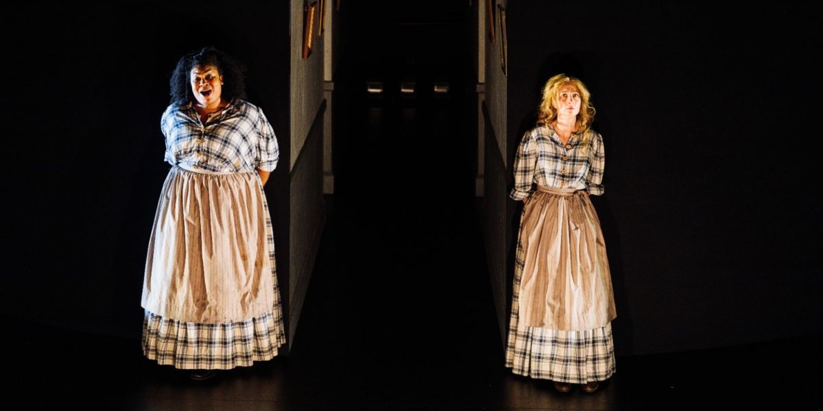 Review: Orth-Moscovitch Stunning MADHOUSE Tells of Women Past the Verge of a Nervous Breakdown at Philadelphia Opera Fest O23