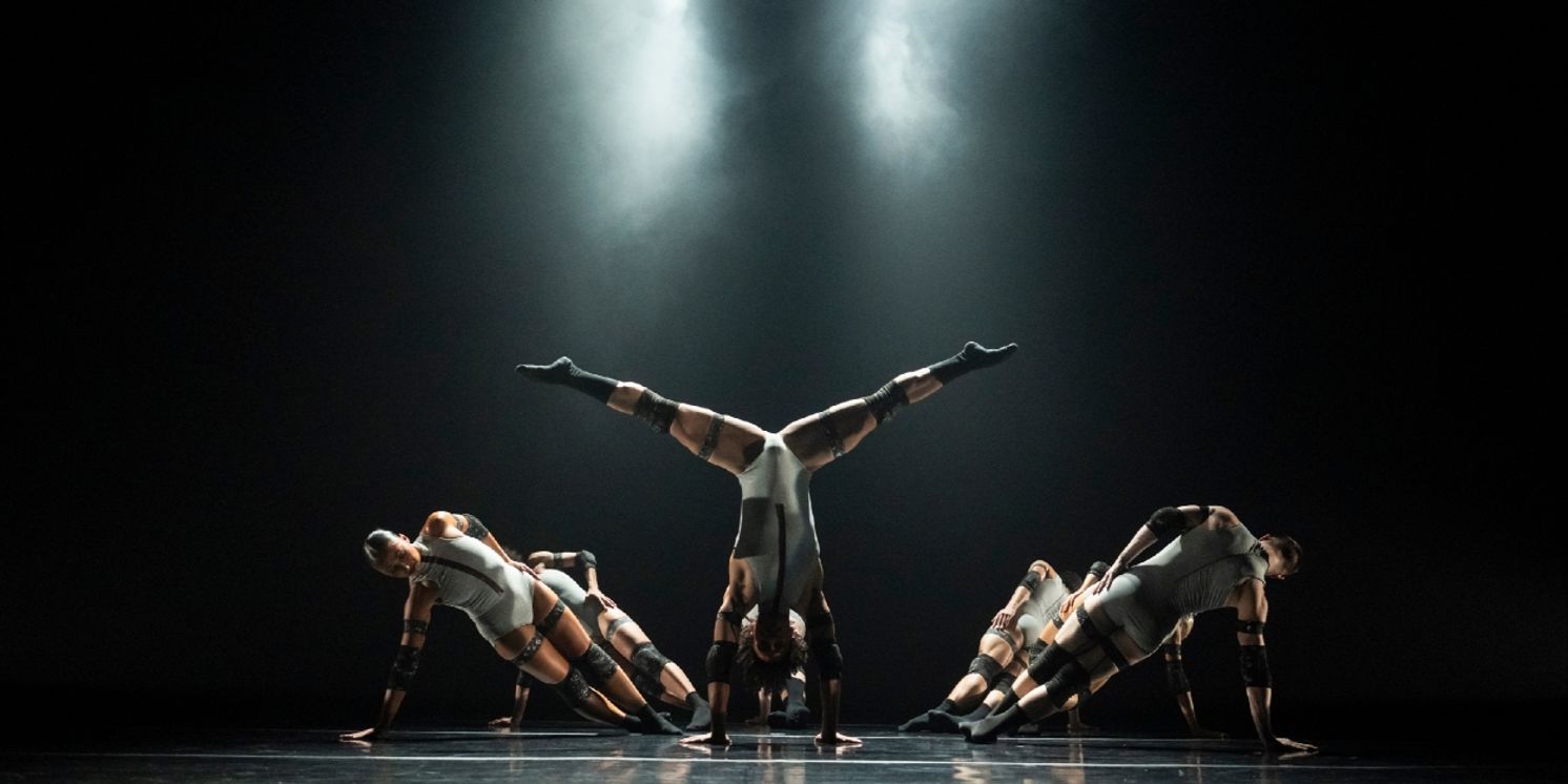 Review: PARSONS DANCE at The Joyce Theater  Image