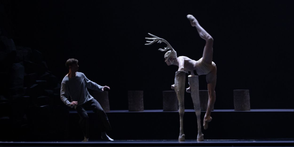 Review: PEER GYNT at Polish National Opera  Image