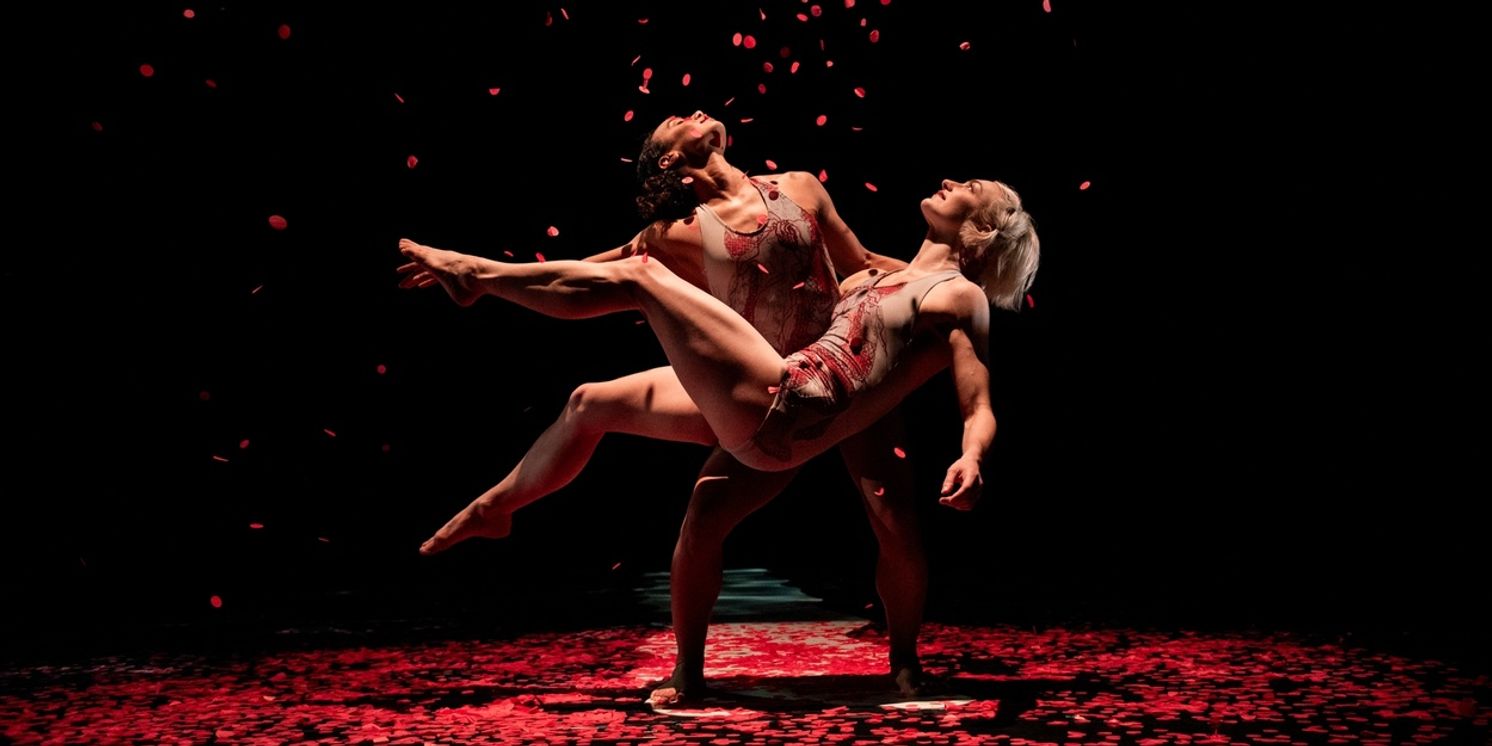 Review: PILOBOLUS: OTHER WORLDS COLLECTION at Strathmore  Image