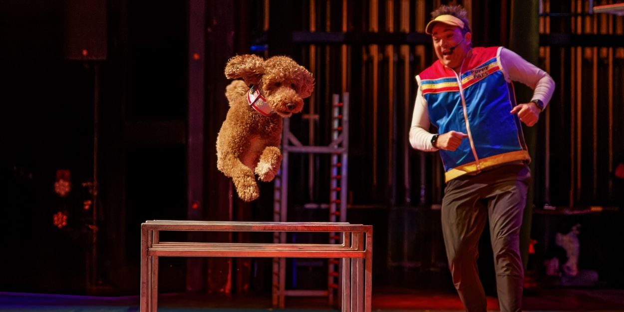 Review: PUPPY PALS at the Norris Theater  Image