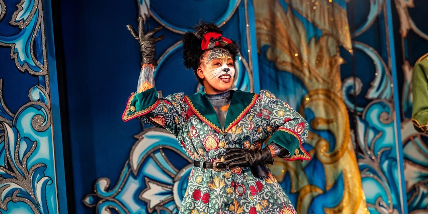 Review: PUSS IN BOOTS, Theatre Royal Winchester  Image