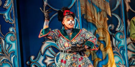 Review: PUSS IN BOOTS, Theatre Royal Winchester Photo